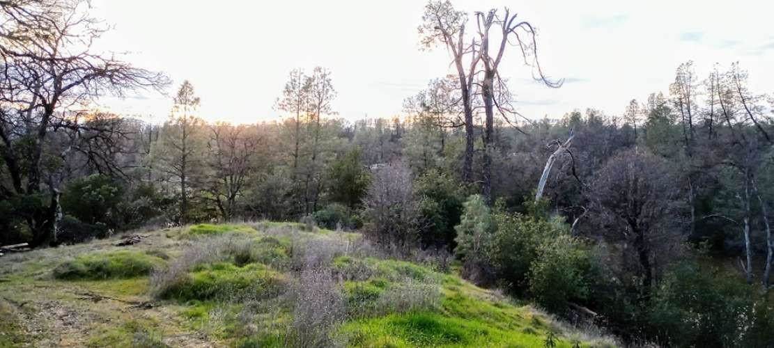 18675 Wilderness Drive - Photo 1