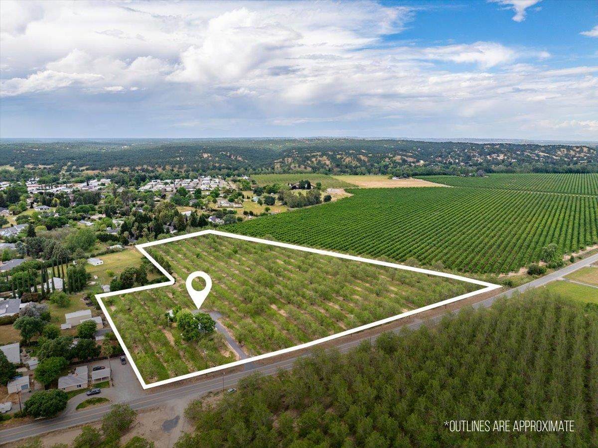 820 Paynes Creek Road - Photo 1