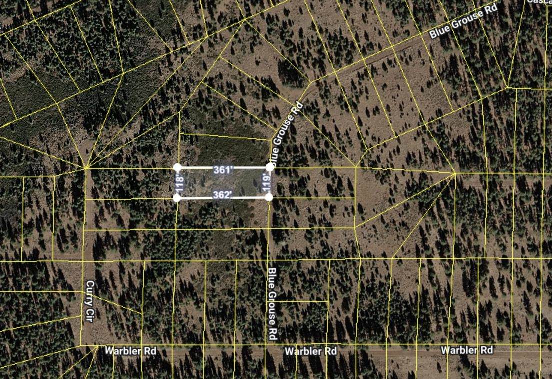 041-521-031 Blue Grouse Road - Photo 1
