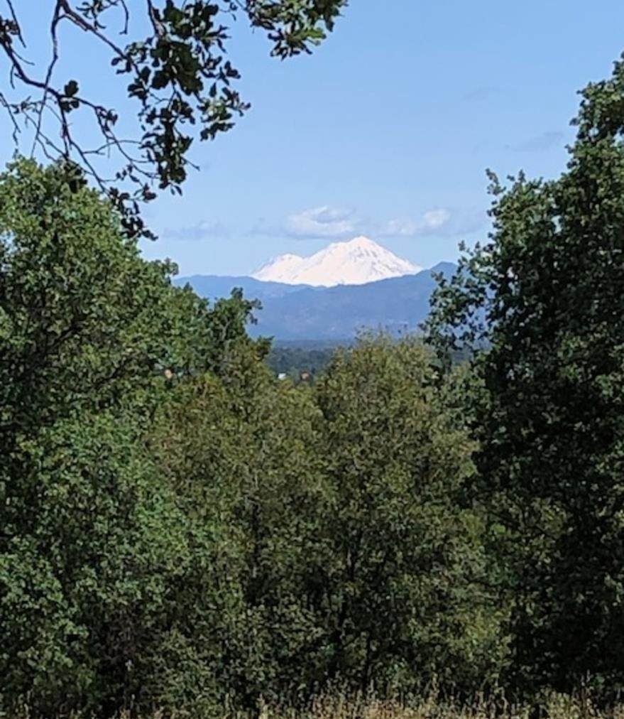 https://bt-photos.global.ssl.fastly.net/tehama/orig_boomver_1_20261294-2.jpg