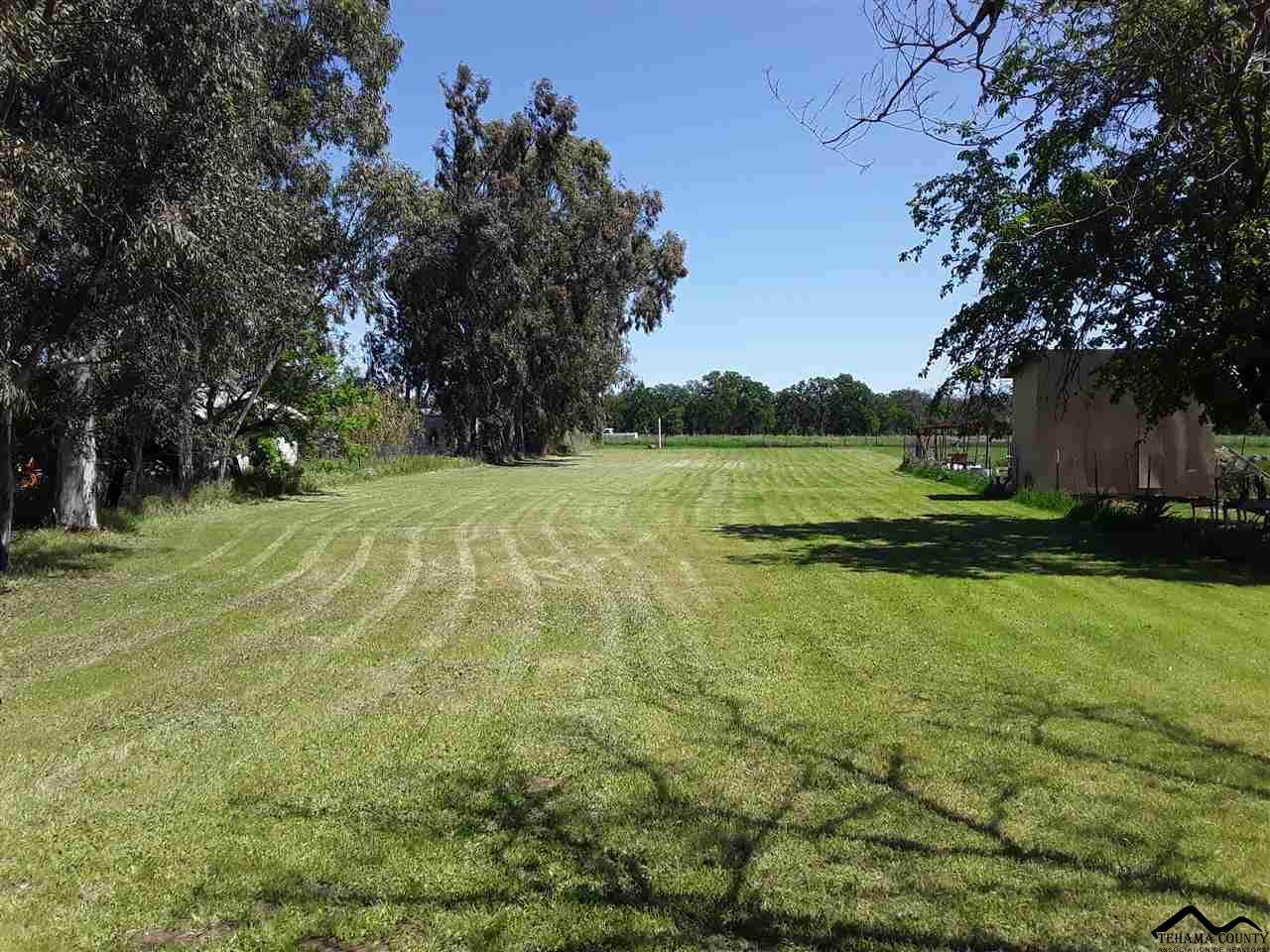 8088 Buena Vista Avenue - Photo 1