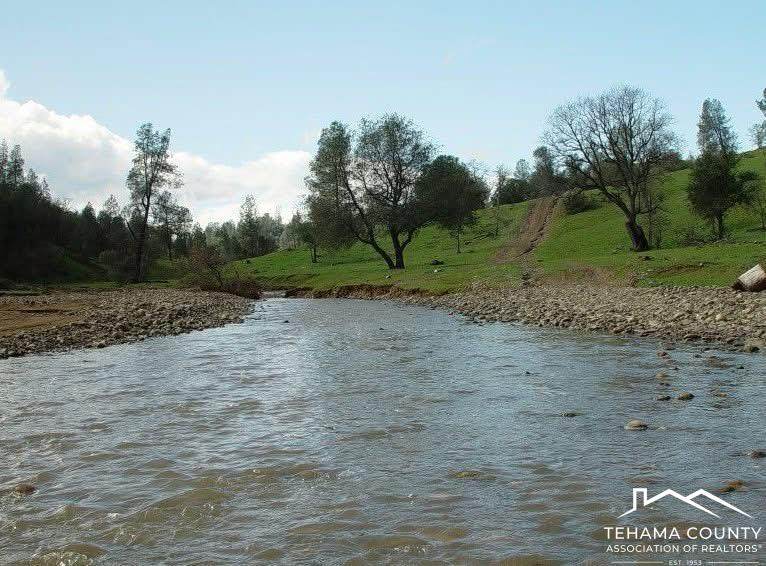 13555 Highway 36 West - Photo 1