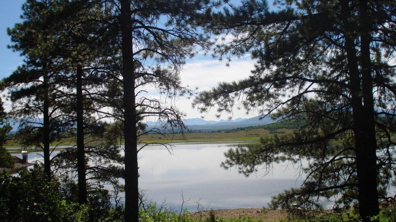 Lot 14 Lone Cone Road S44 Road - Photo 1