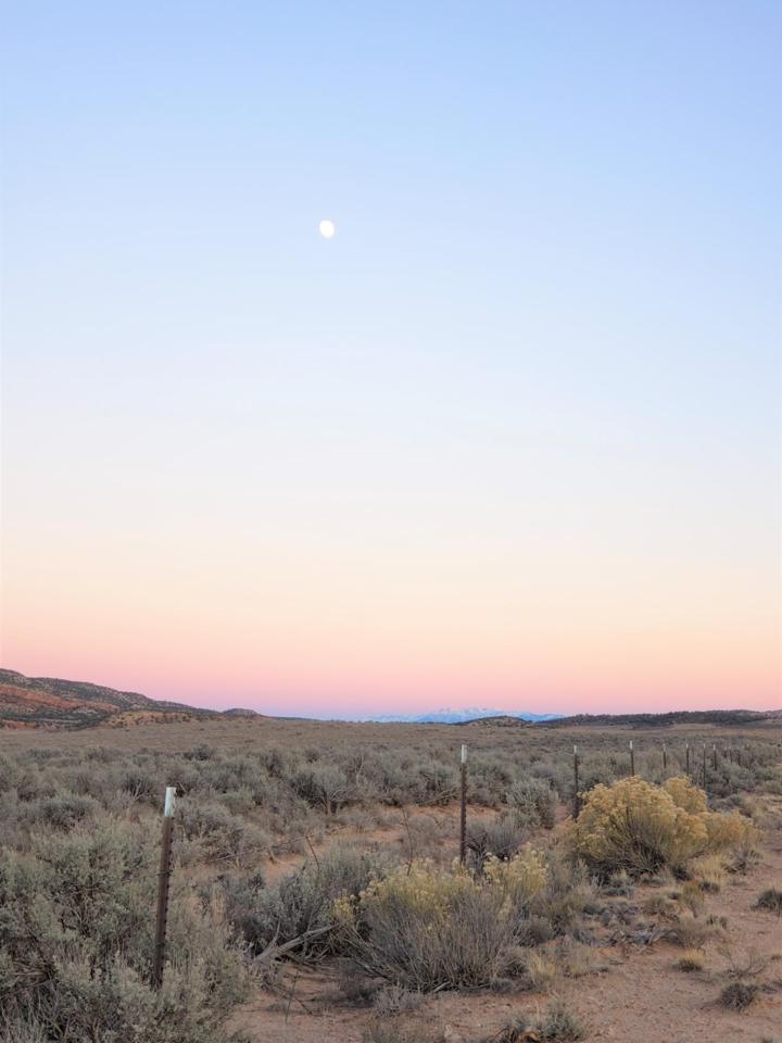 TBD Highway 90 Highway - Photo 1