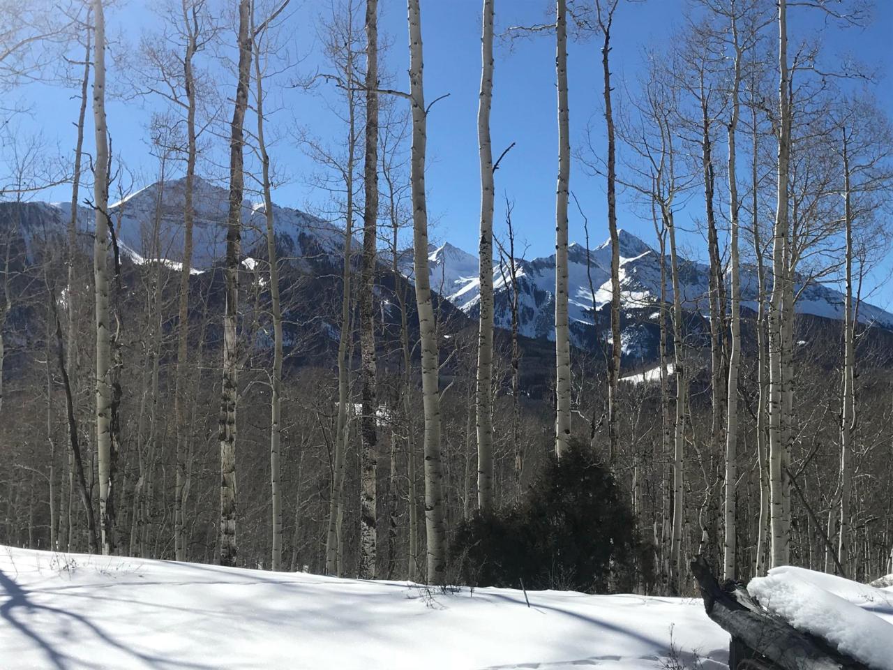TBD Highway 145 - Photo 1