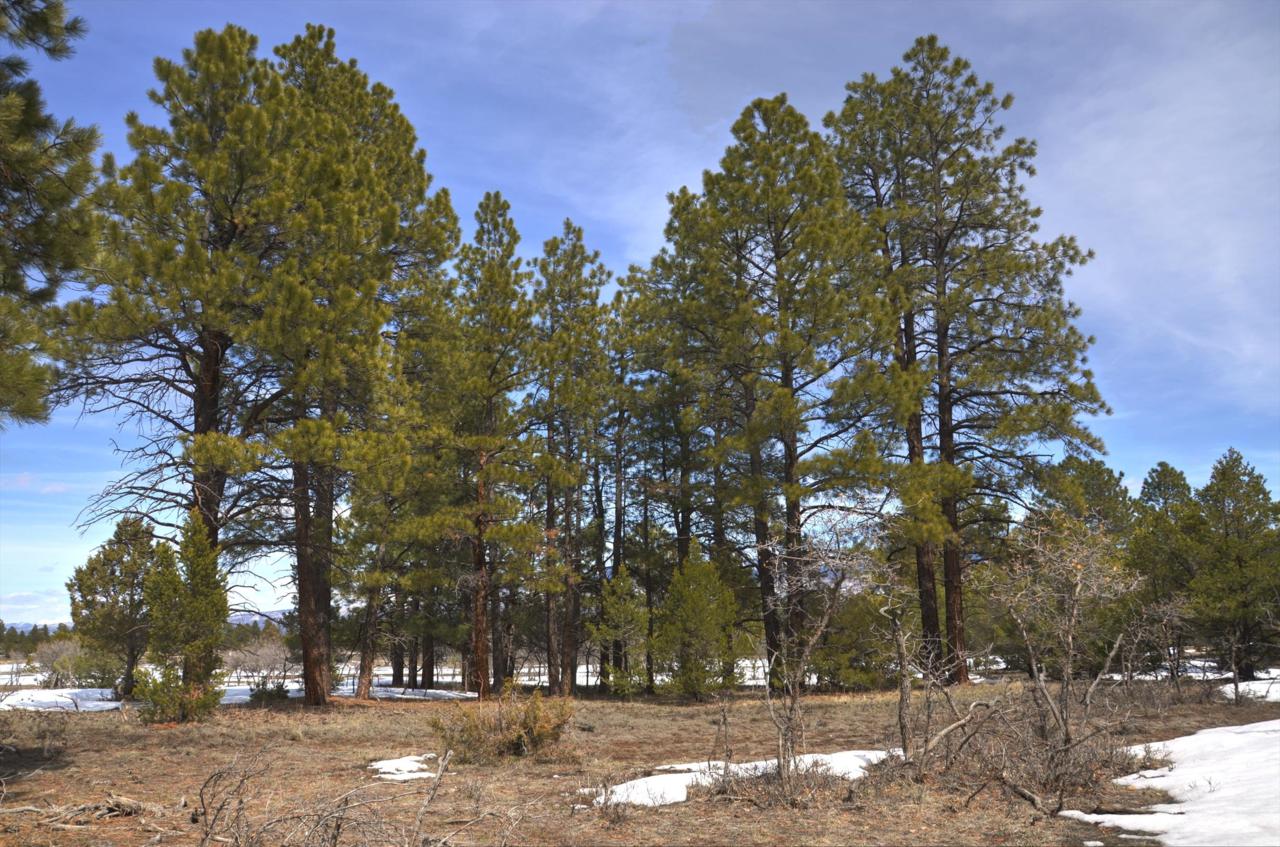 478 Badger Trail - Photo 1