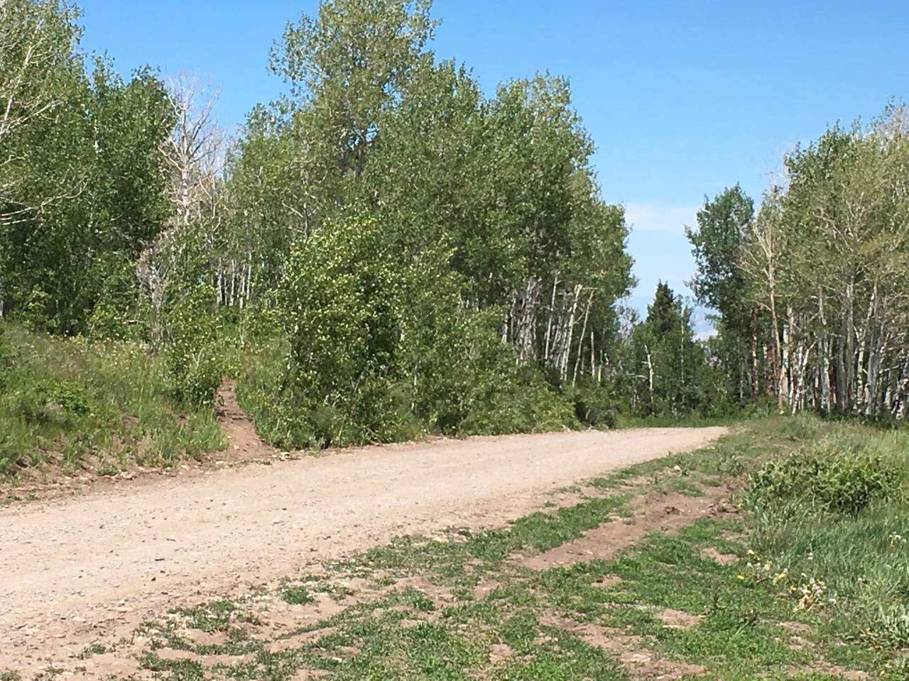tbd 5A Ouray County Road - Photo 1
