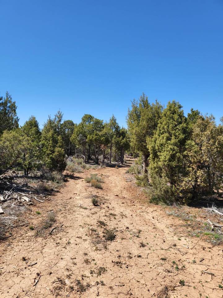 Unassigned La Mesa Vista - Photo 1
