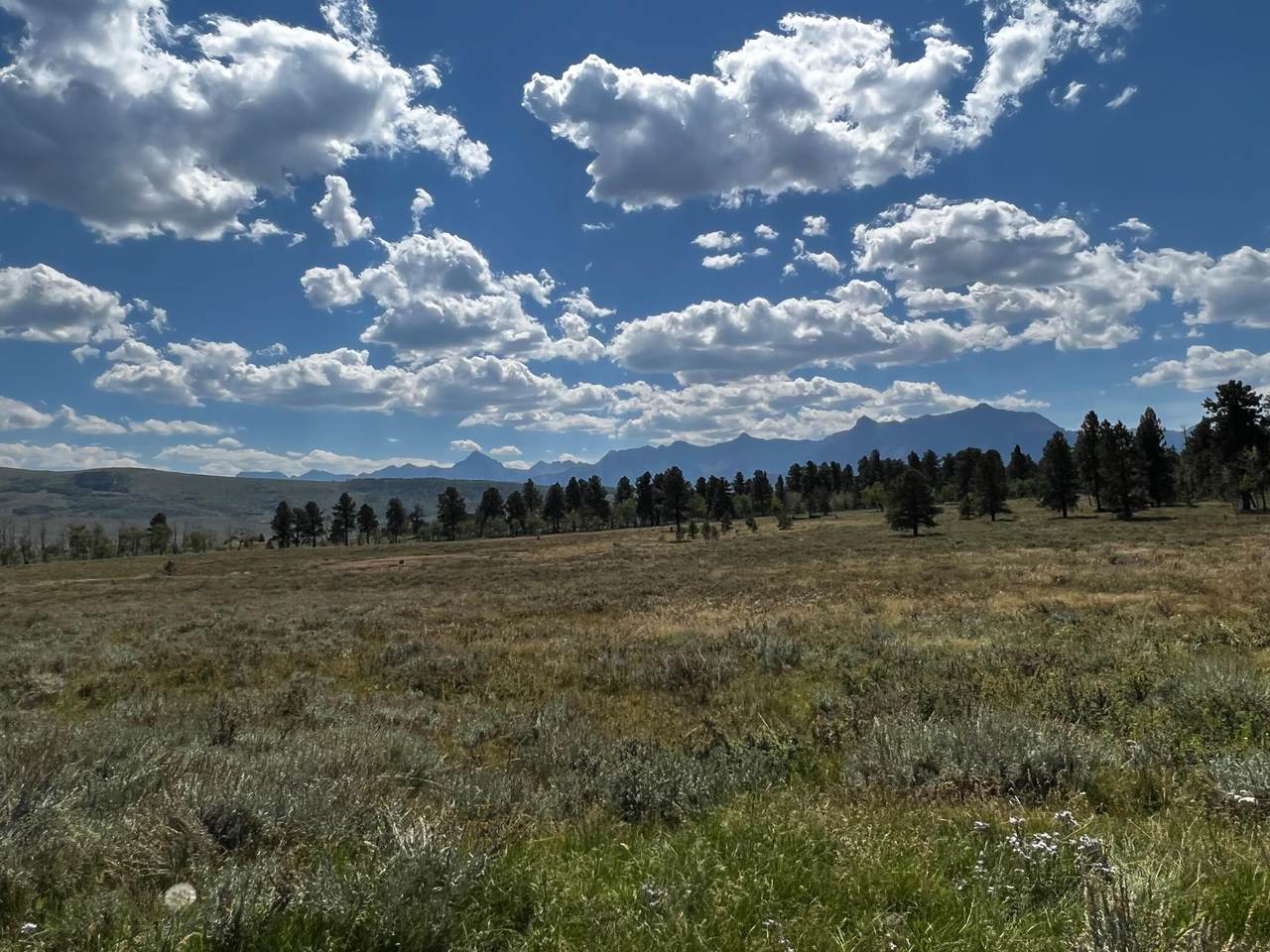 TBD 62X County Road - Photo 1