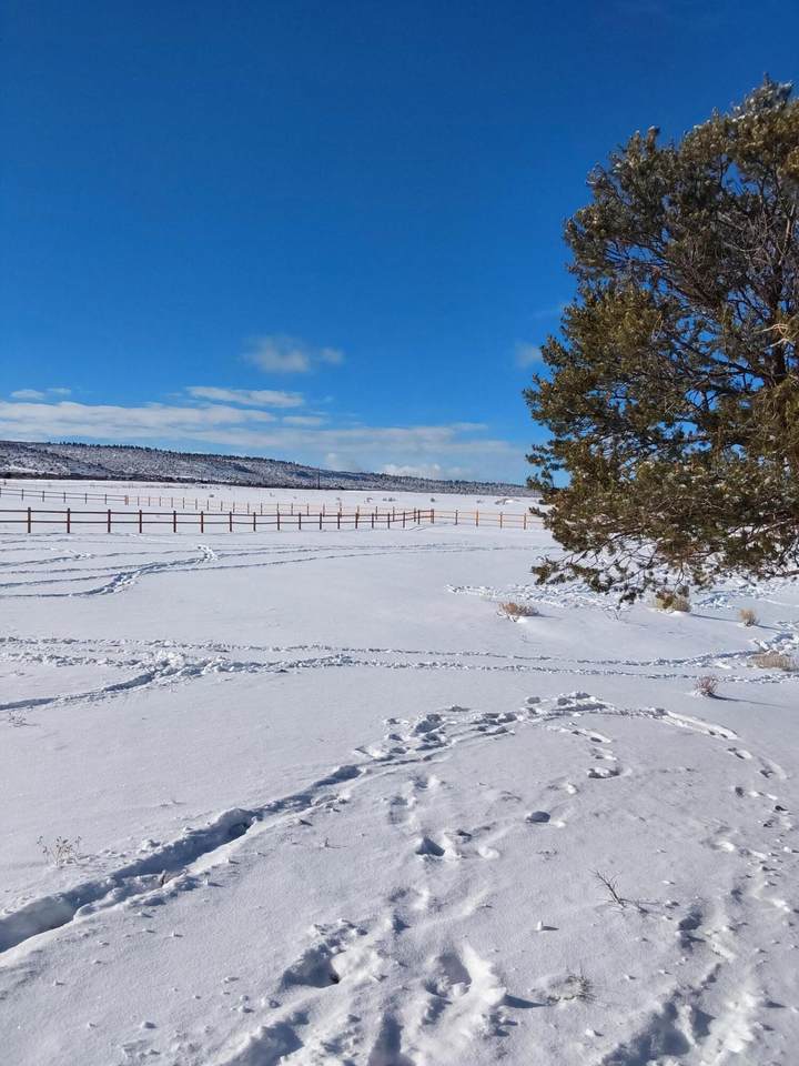 1255 County Road V 44 E Road - Photo 1