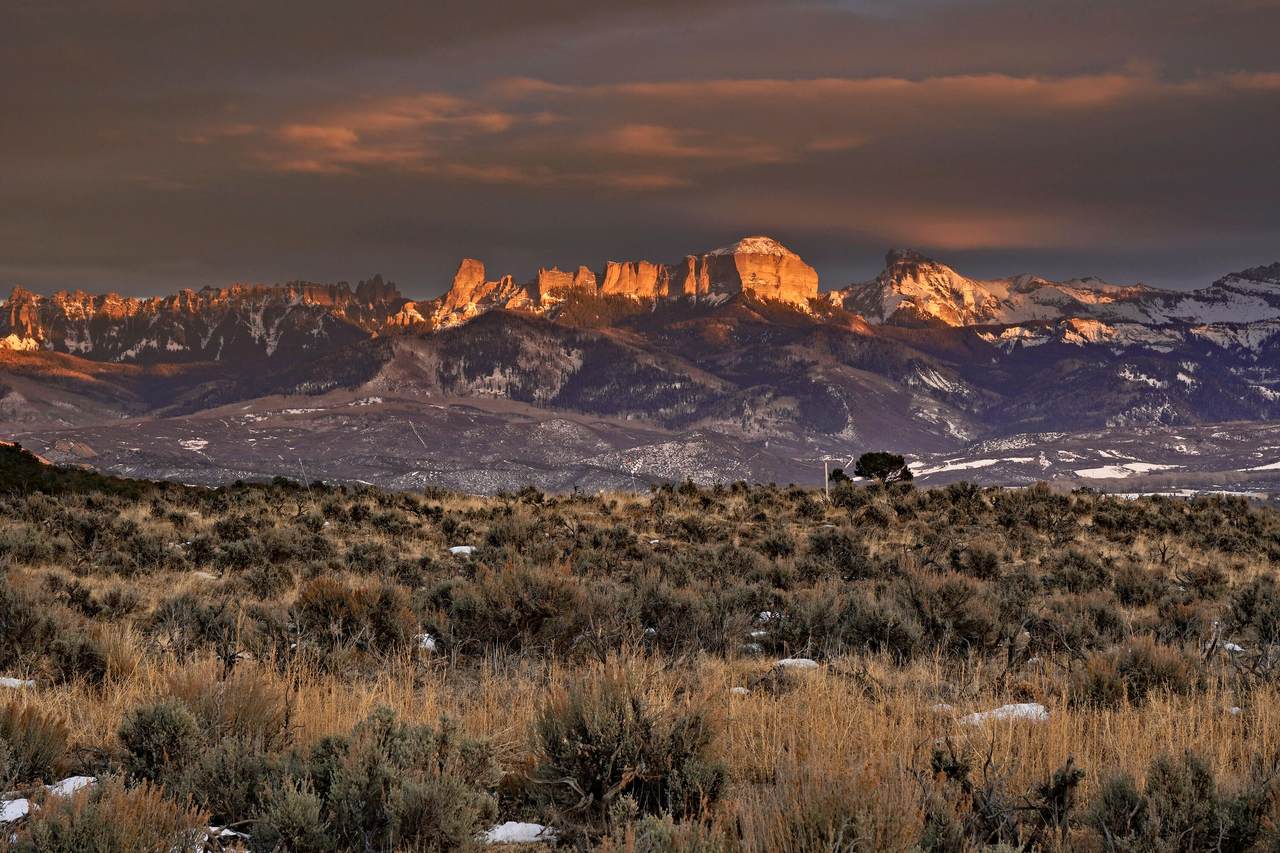 221 Dallas Court - Photo 1