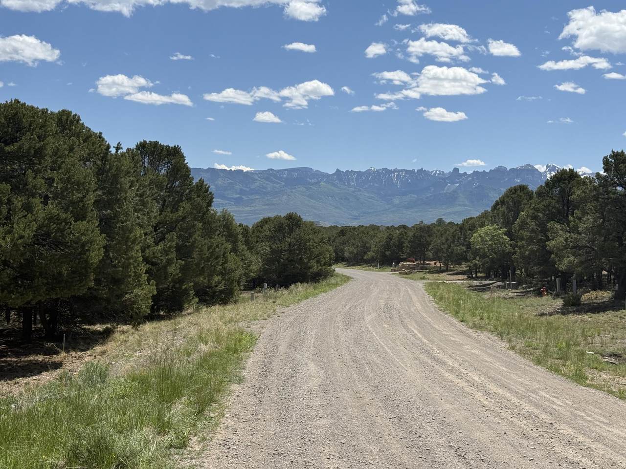 175 Pinon Road - Photo 1