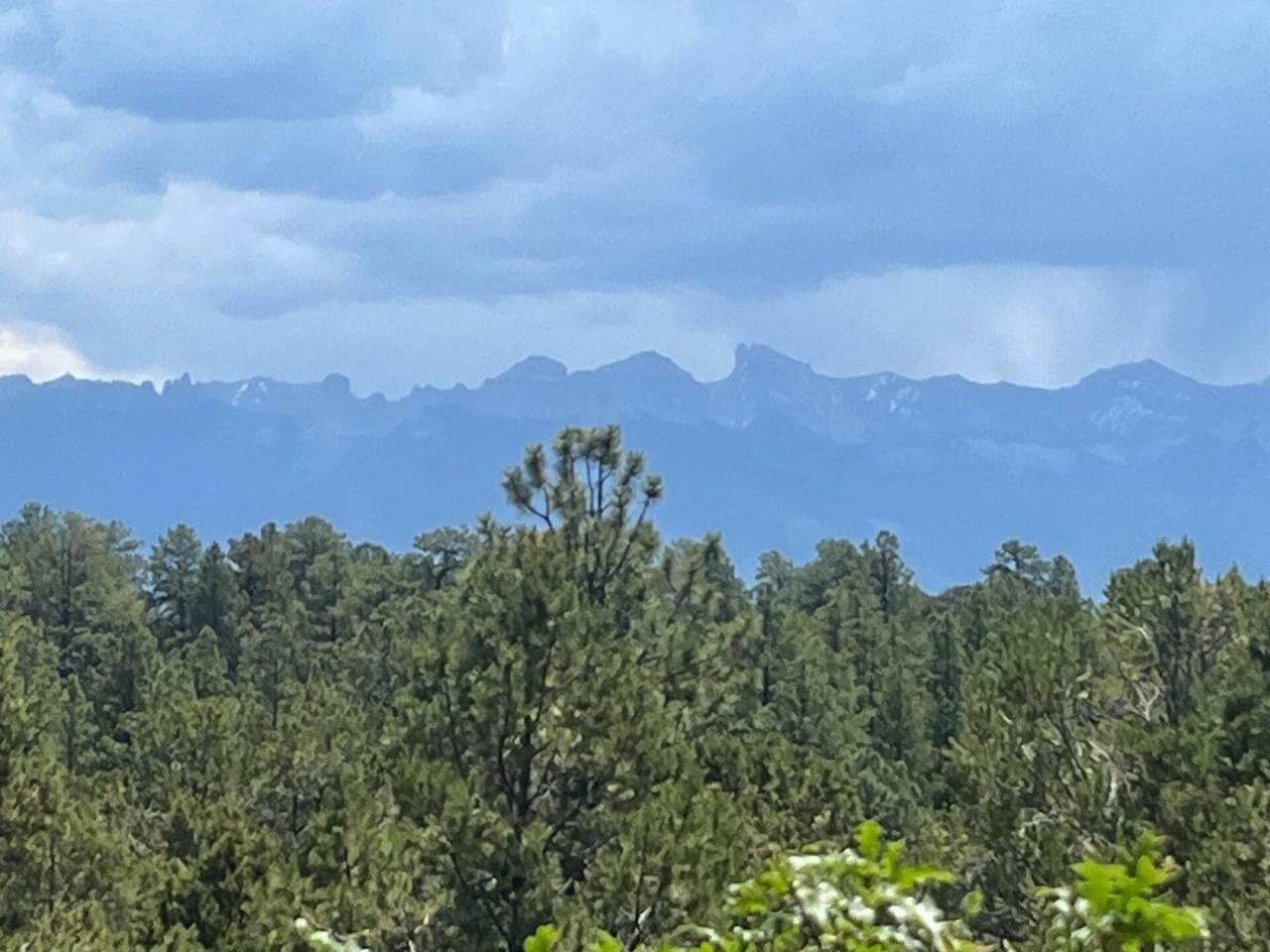 202 Woodchuck Place - Photo 1