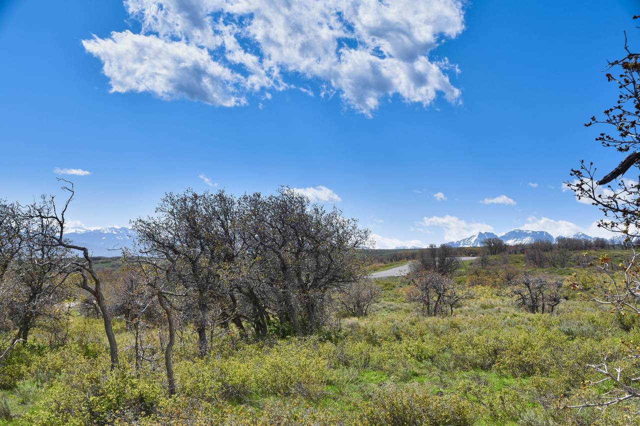 1115 Cornerstone - Photo 1