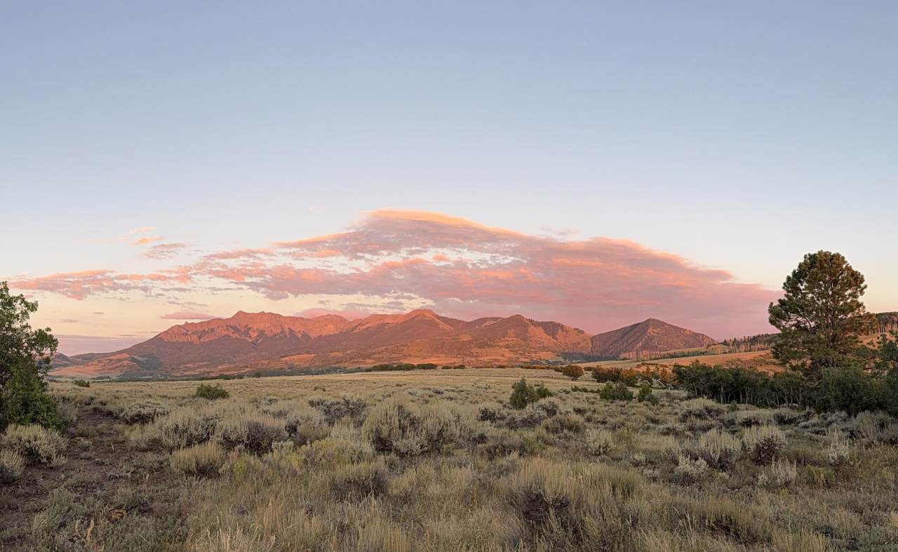 TBD Elam Ridge Drive - Photo 1