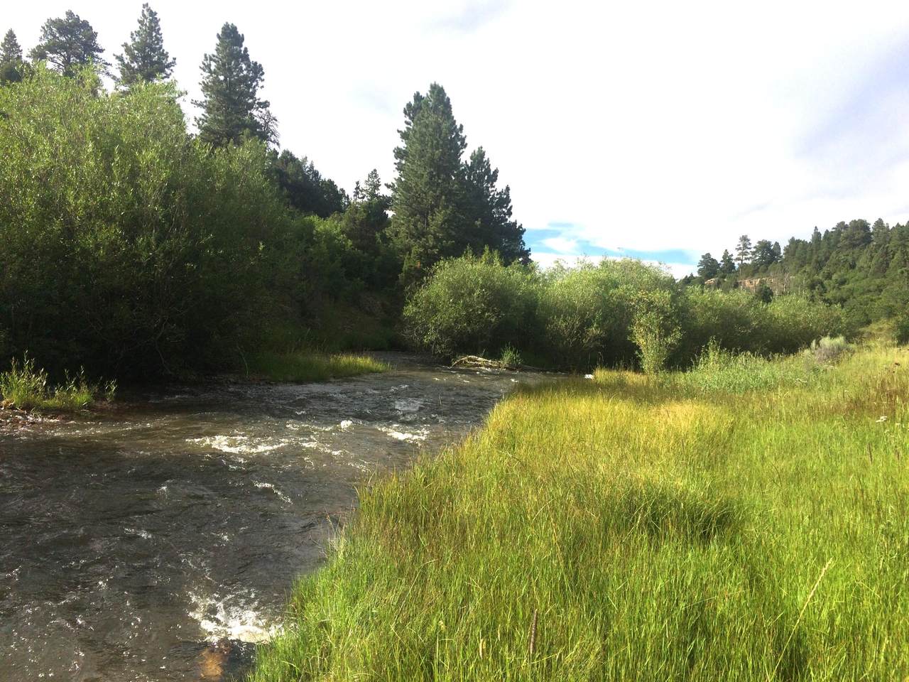 2A Beaver Pines Loop - Photo 1