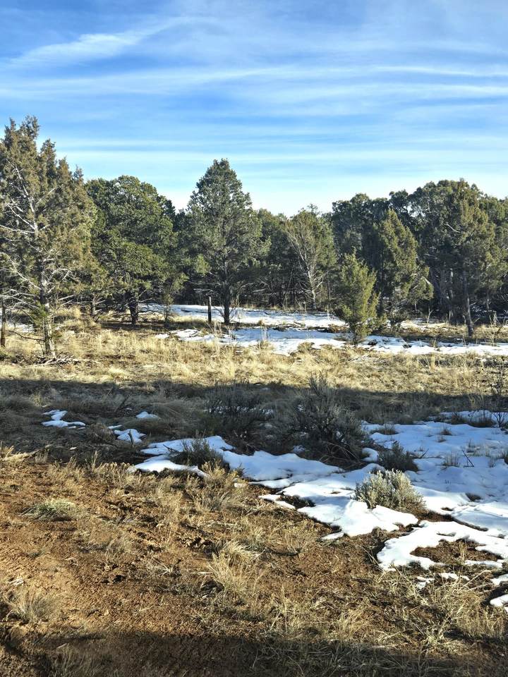 571 Mourning Dove Trail - Photo 1