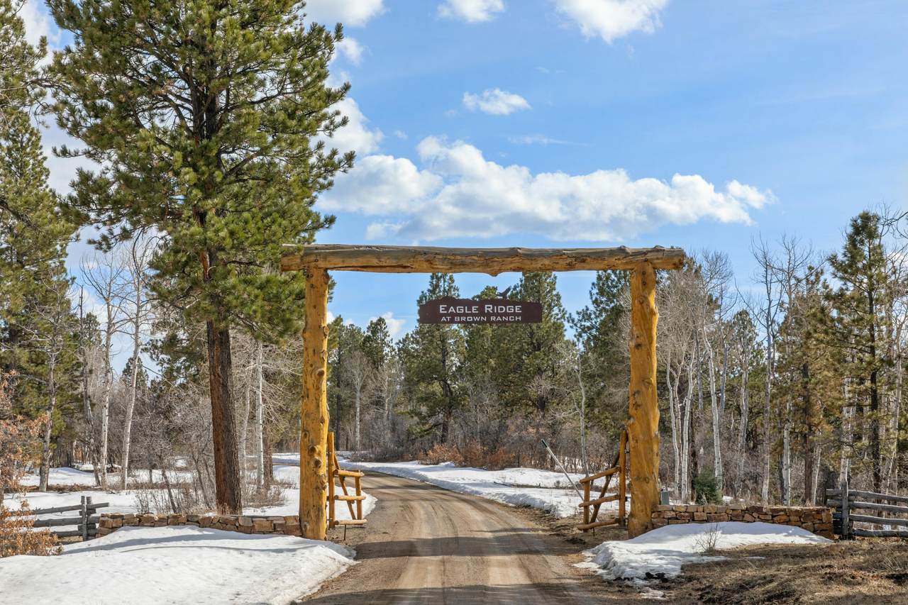 280 Sage Grouse - Photo 1