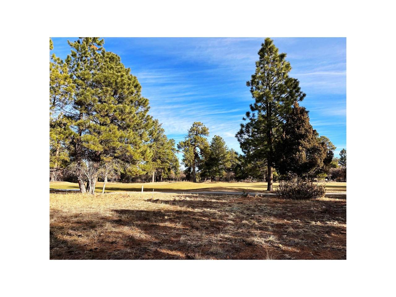 120 Puma Lane - Photo 1