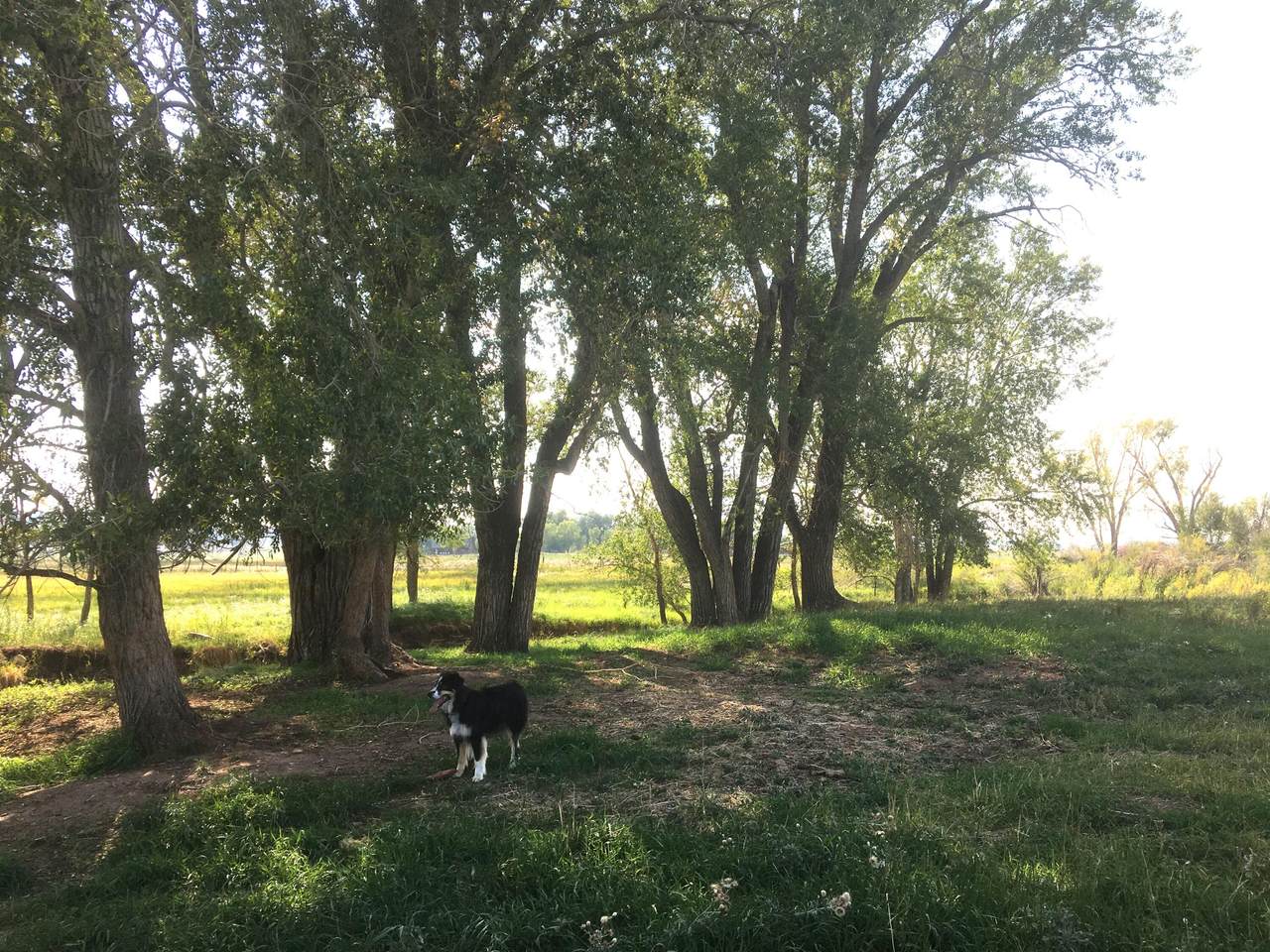 Unassigned County Road Y43 - Photo 1