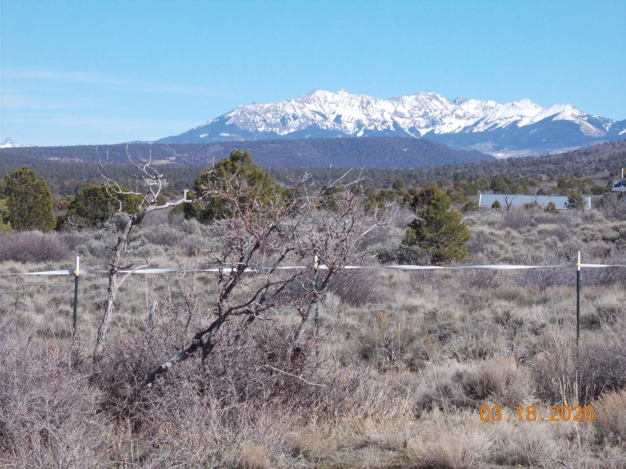 tbd County Road 44Z Road - Photo 1