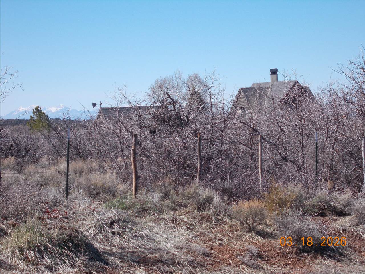 https://bt-photos.global.ssl.fastly.net/telluride/1280_boomver_1_44358-2.jpg