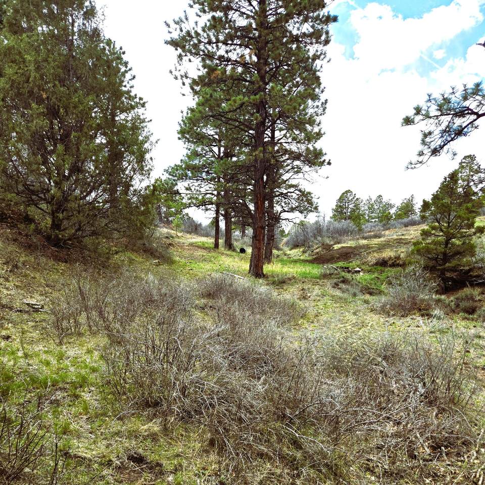 Lot 3 Avalon Drive - Photo 1