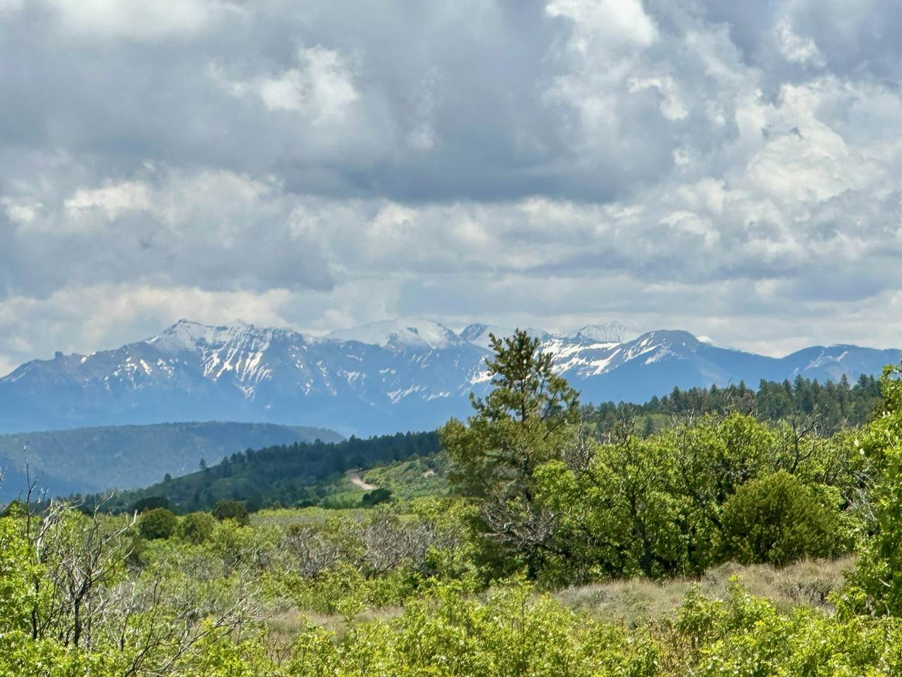 9 Gurley Reserve - Photo 1