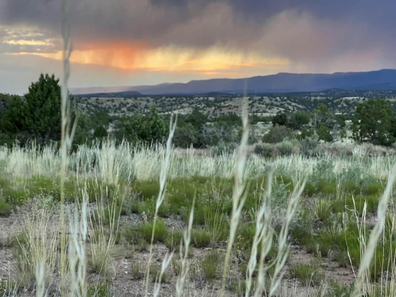 https://bt-photos.global.ssl.fastly.net/telluride/1280_boomver_1_44432-2.jpg