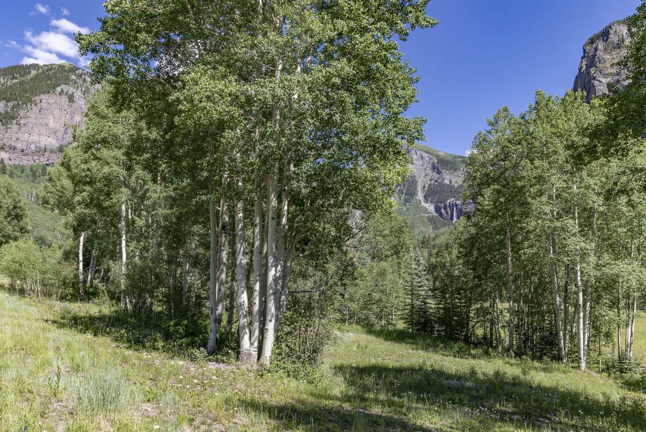 https://bt-photos.global.ssl.fastly.net/telluride/1280_boomver_1_44459-2.jpg