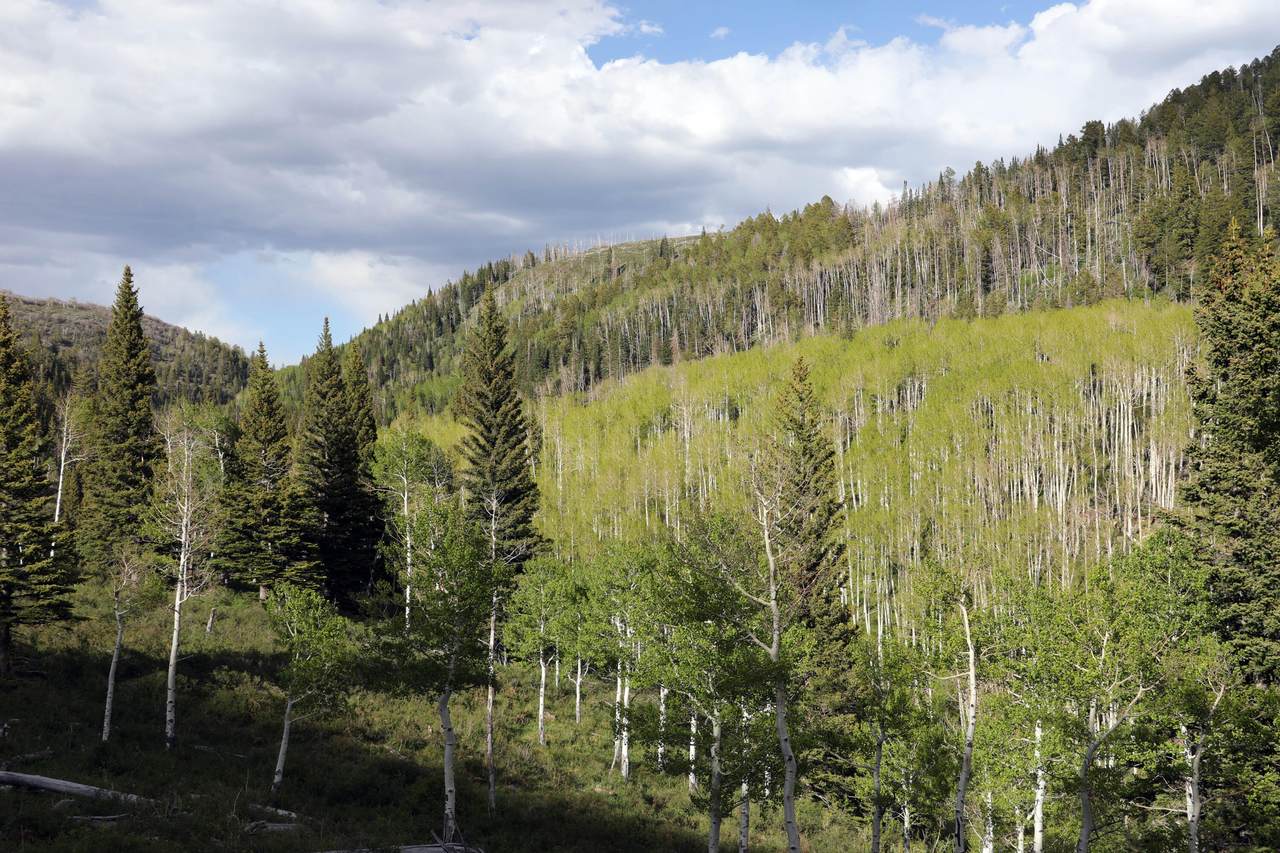 https://bt-photos.global.ssl.fastly.net/telluride/1280_boomver_1_44550-2.jpg