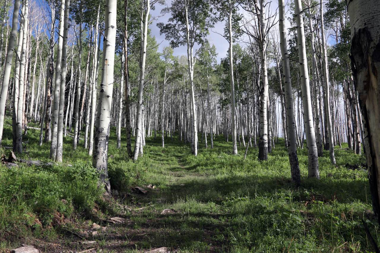 https://bt-photos.global.ssl.fastly.net/telluride/1280_boomver_1_44550-2.jpg