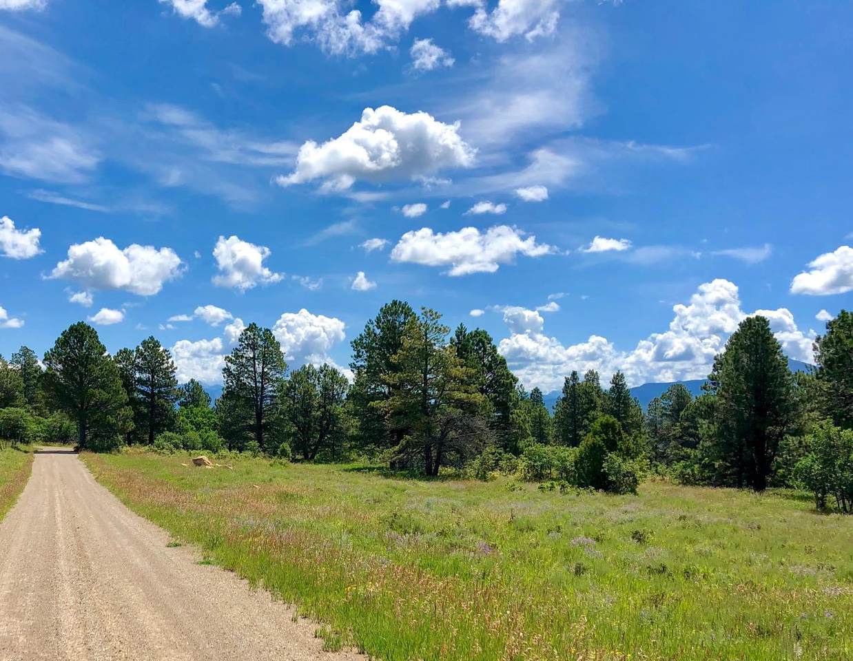 https://bt-photos.global.ssl.fastly.net/telluride/1280_boomver_1_44562-2.jpg
