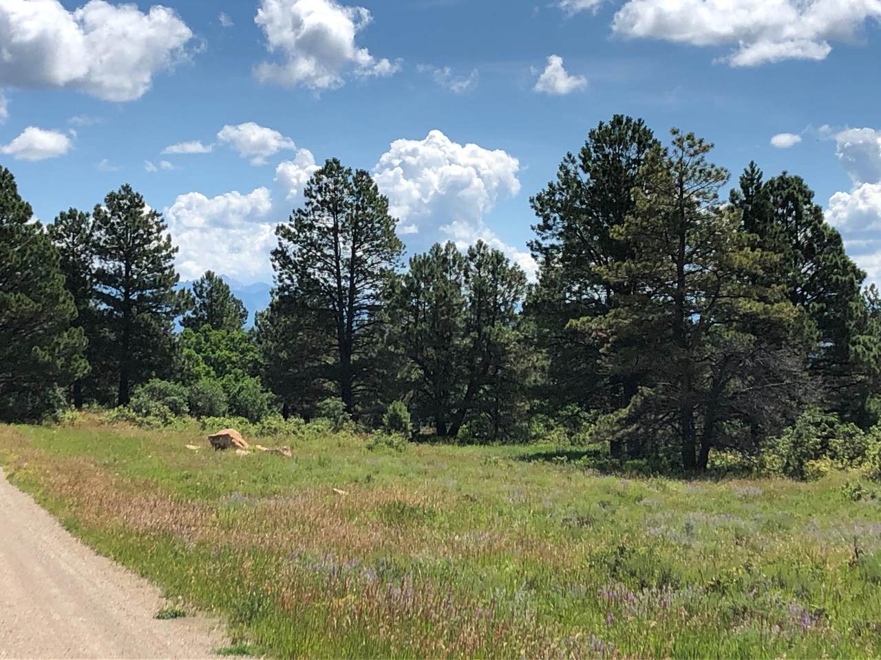 https://bt-photos.global.ssl.fastly.net/telluride/1280_boomver_1_44562-2.jpg
