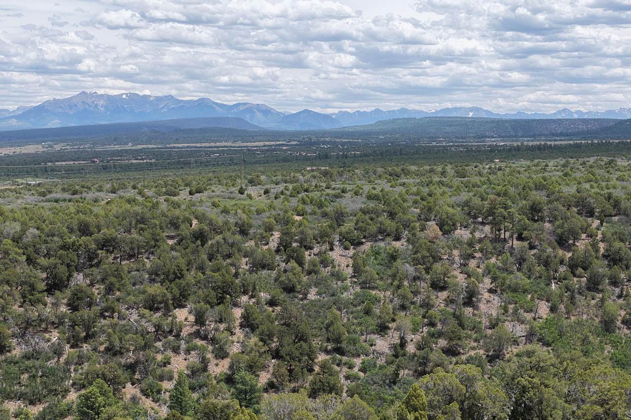 uassigned Juniper Drive (42.2Y) - Photo 1