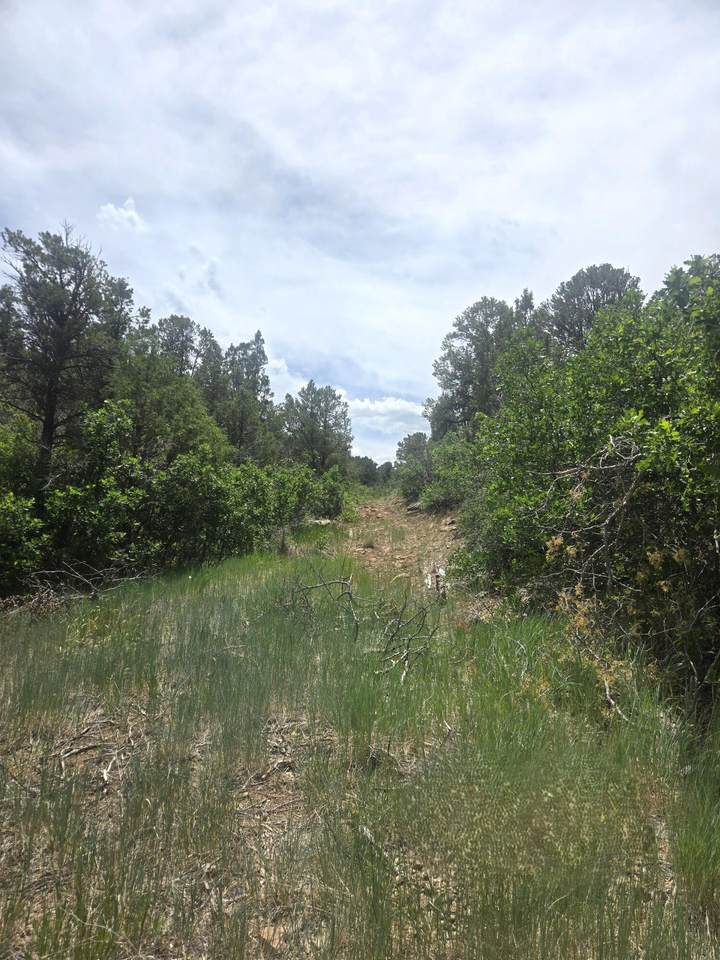 https://bt-photos.global.ssl.fastly.net/telluride/1280_boomver_1_44601-2.jpg