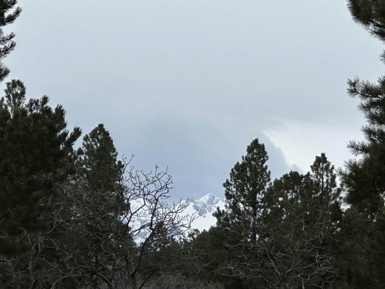 https://bt-photos.global.ssl.fastly.net/telluride/1280_boomver_1_44624-2.jpg