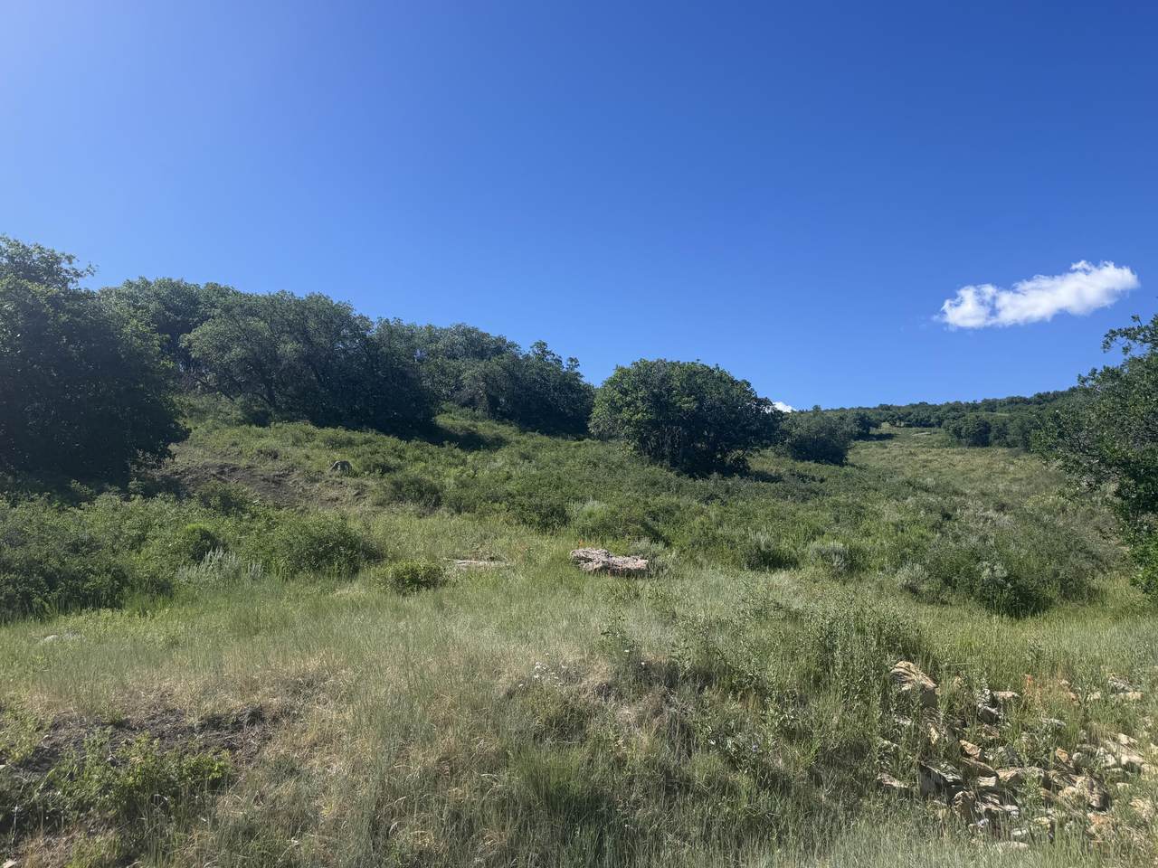 https://bt-photos.global.ssl.fastly.net/telluride/1280_boomver_1_44710-2.jpg
