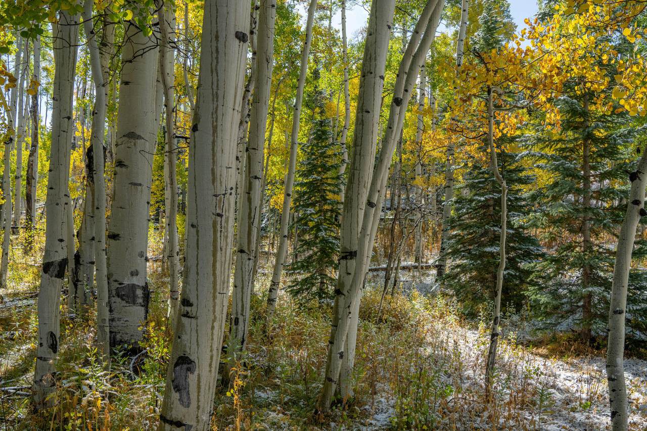 https://bt-photos.global.ssl.fastly.net/telluride/1280_boomver_1_44717-2.jpg