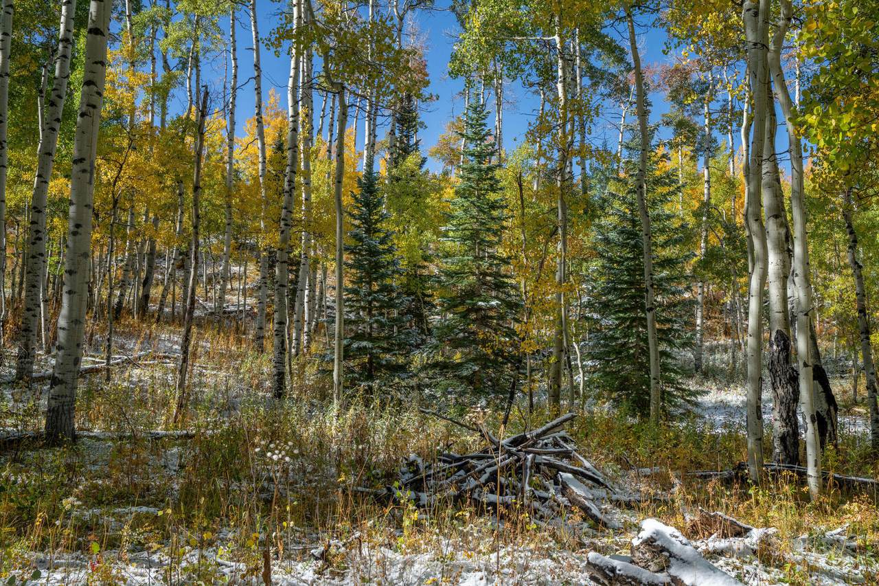 https://bt-photos.global.ssl.fastly.net/telluride/1280_boomver_1_44717-2.jpg
