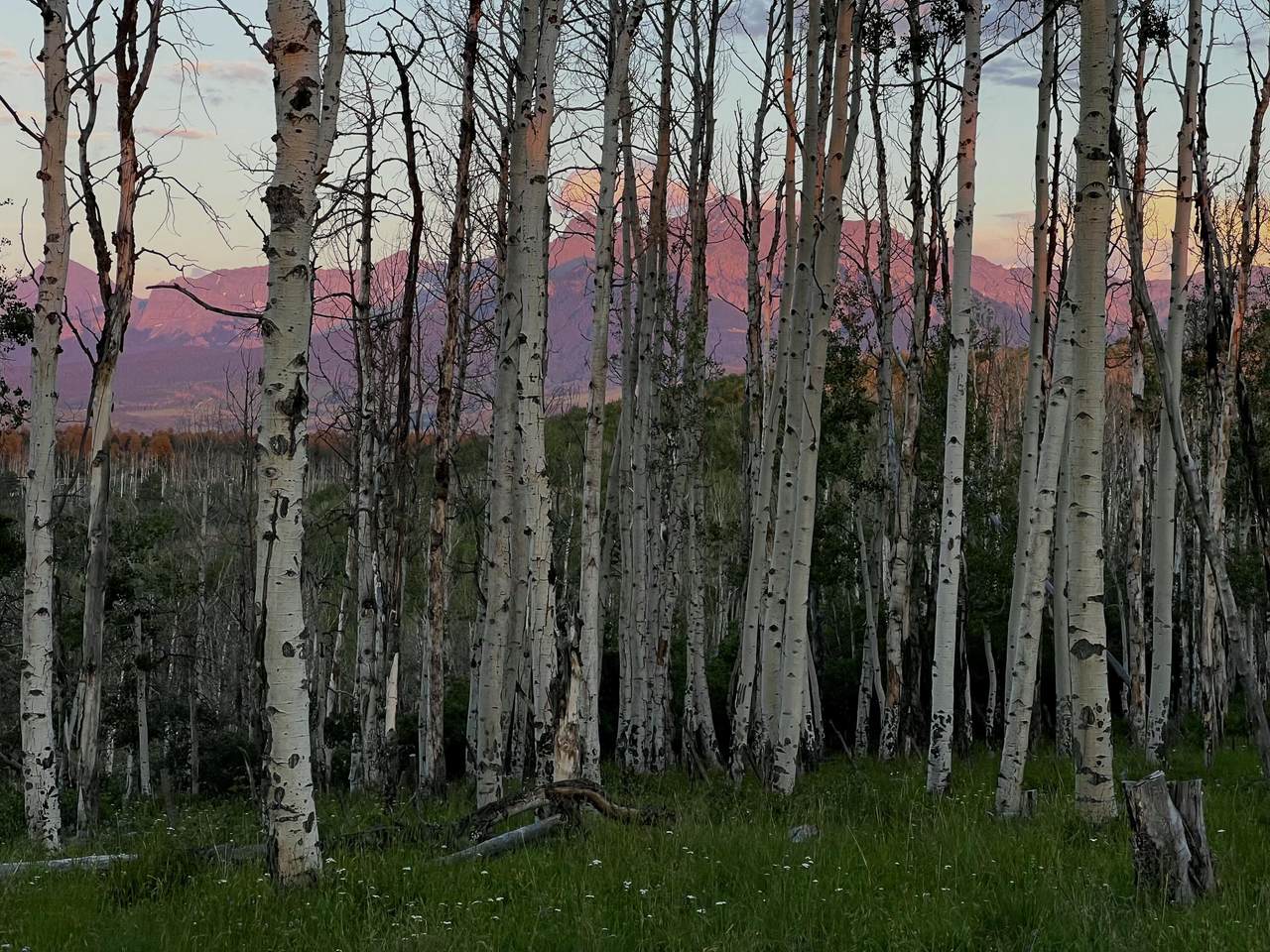 https://bt-photos.global.ssl.fastly.net/telluride/1280_boomver_1_44758-2.jpg