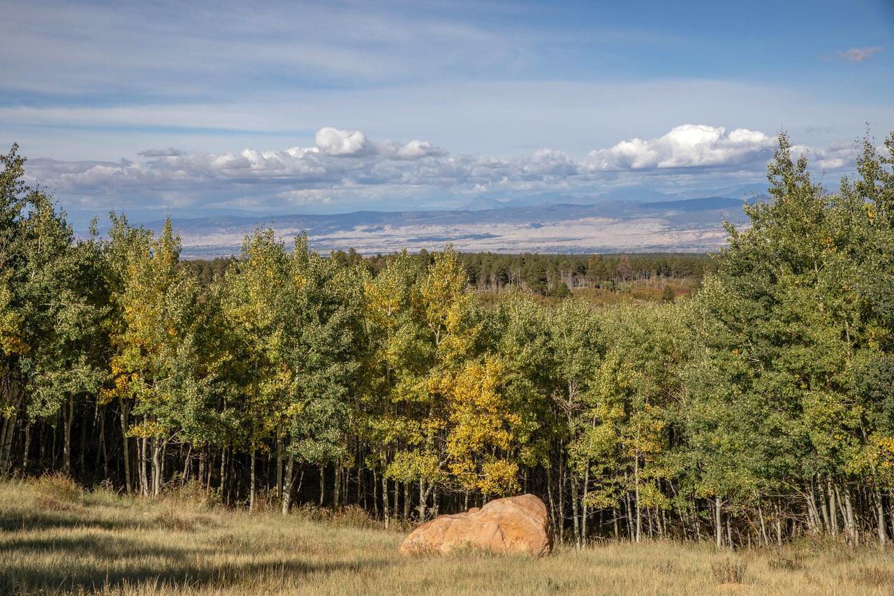 https://bt-photos.global.ssl.fastly.net/telluride/1280_boomver_1_44825-2.jpg