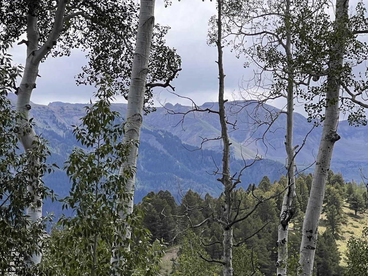 https://bt-photos.global.ssl.fastly.net/telluride/1280_boomver_1_44830-2.jpg
