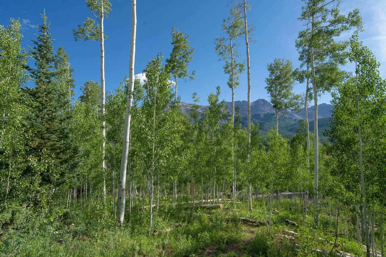 https://bt-photos.global.ssl.fastly.net/telluride/1280_boomver_1_44830-2.jpg