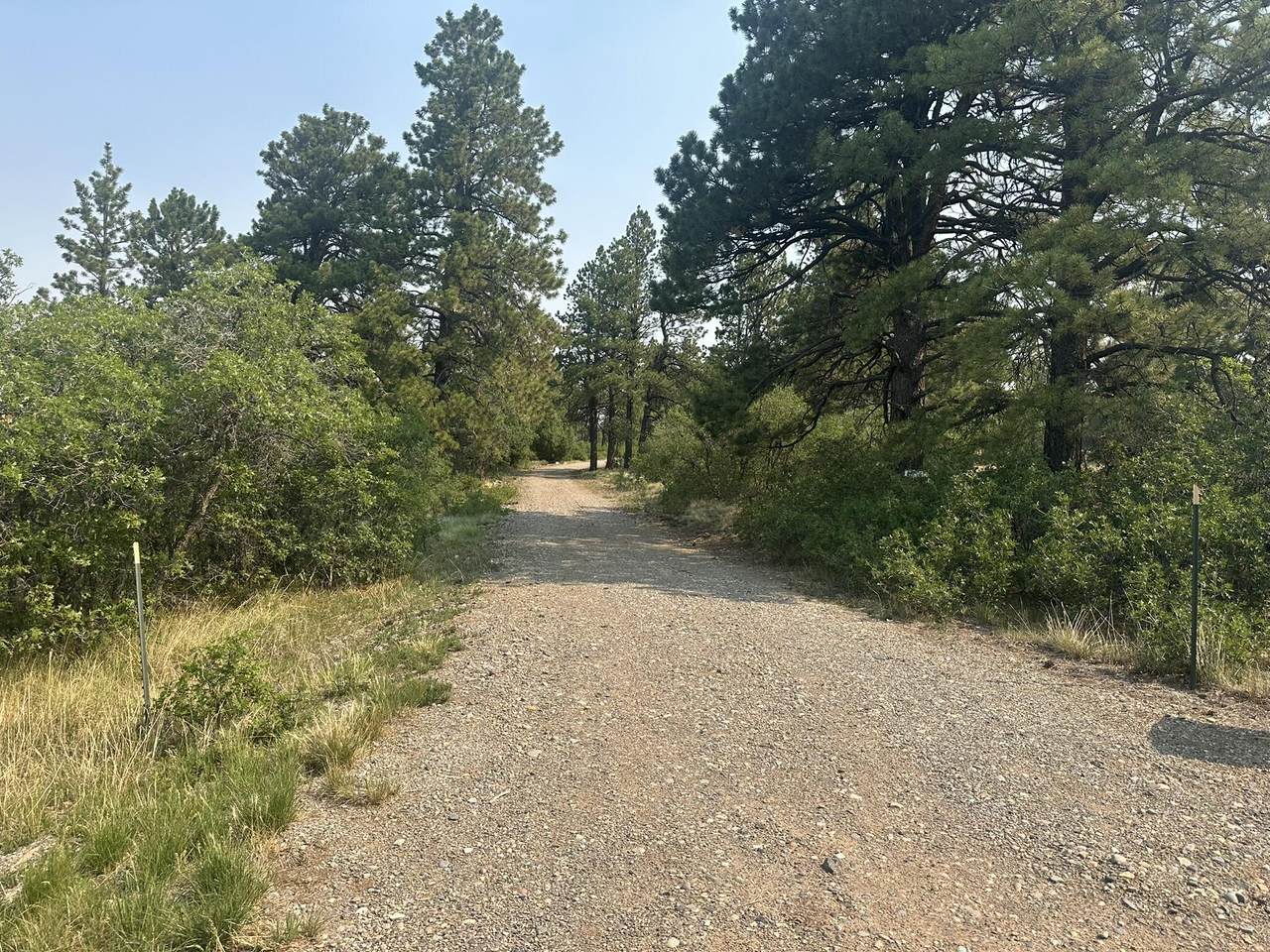 135 Canyon Rim Loop - Photo 1