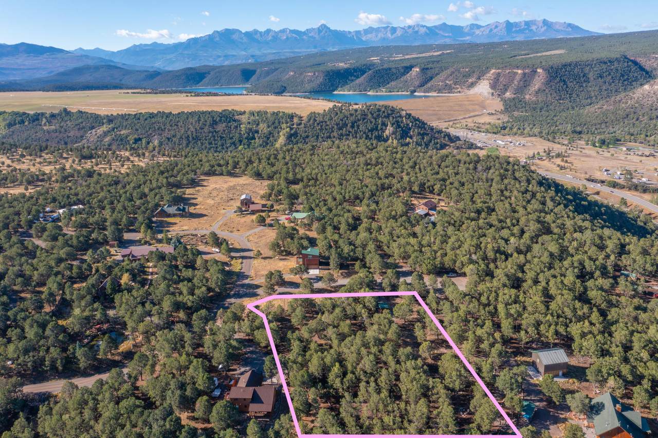 TBD Pinon - Photo 1