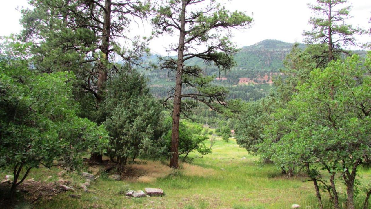 Lot 4 White House Vista - Photo 1