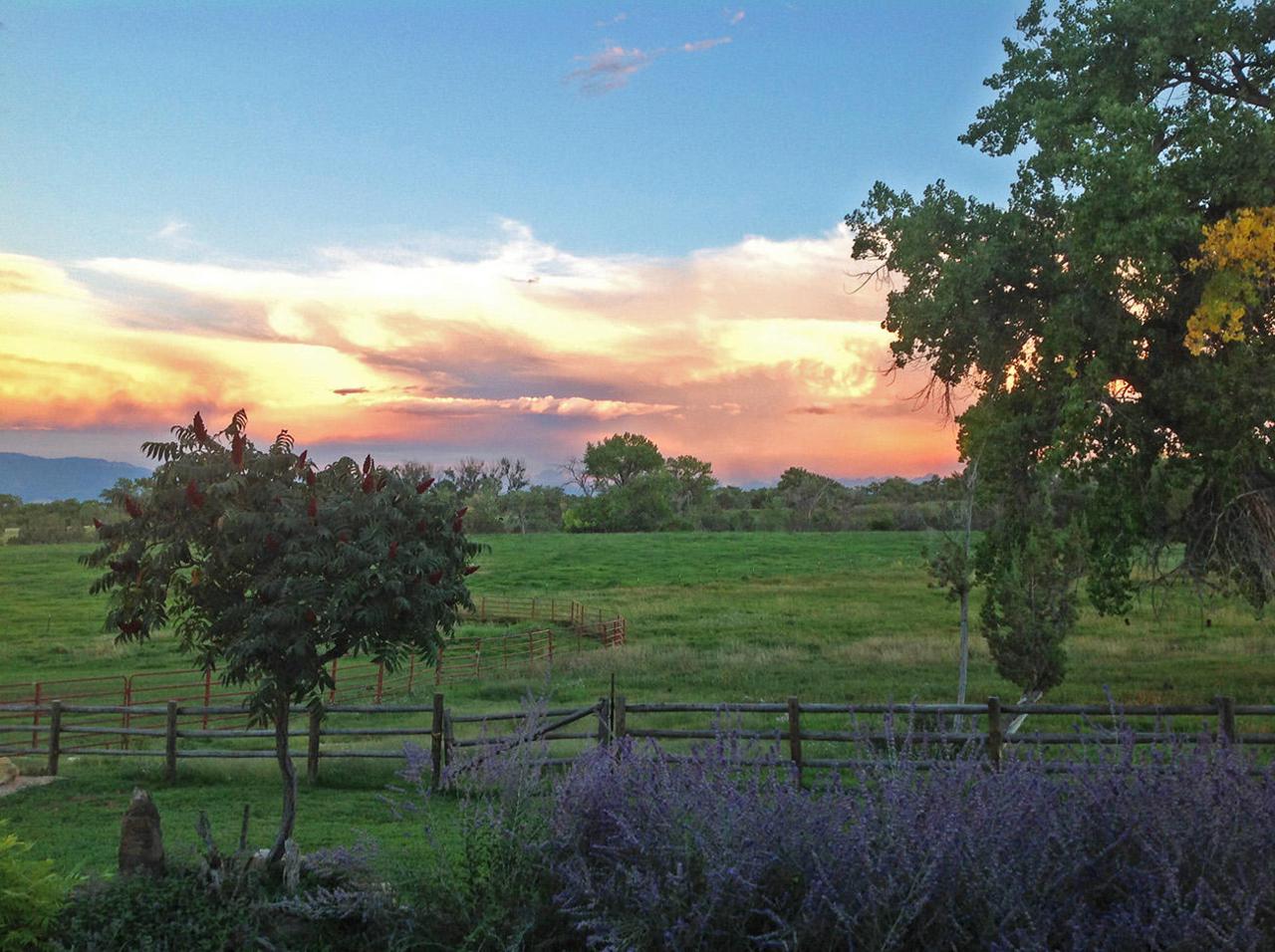 59346 Spring Creek Road - Photo 1