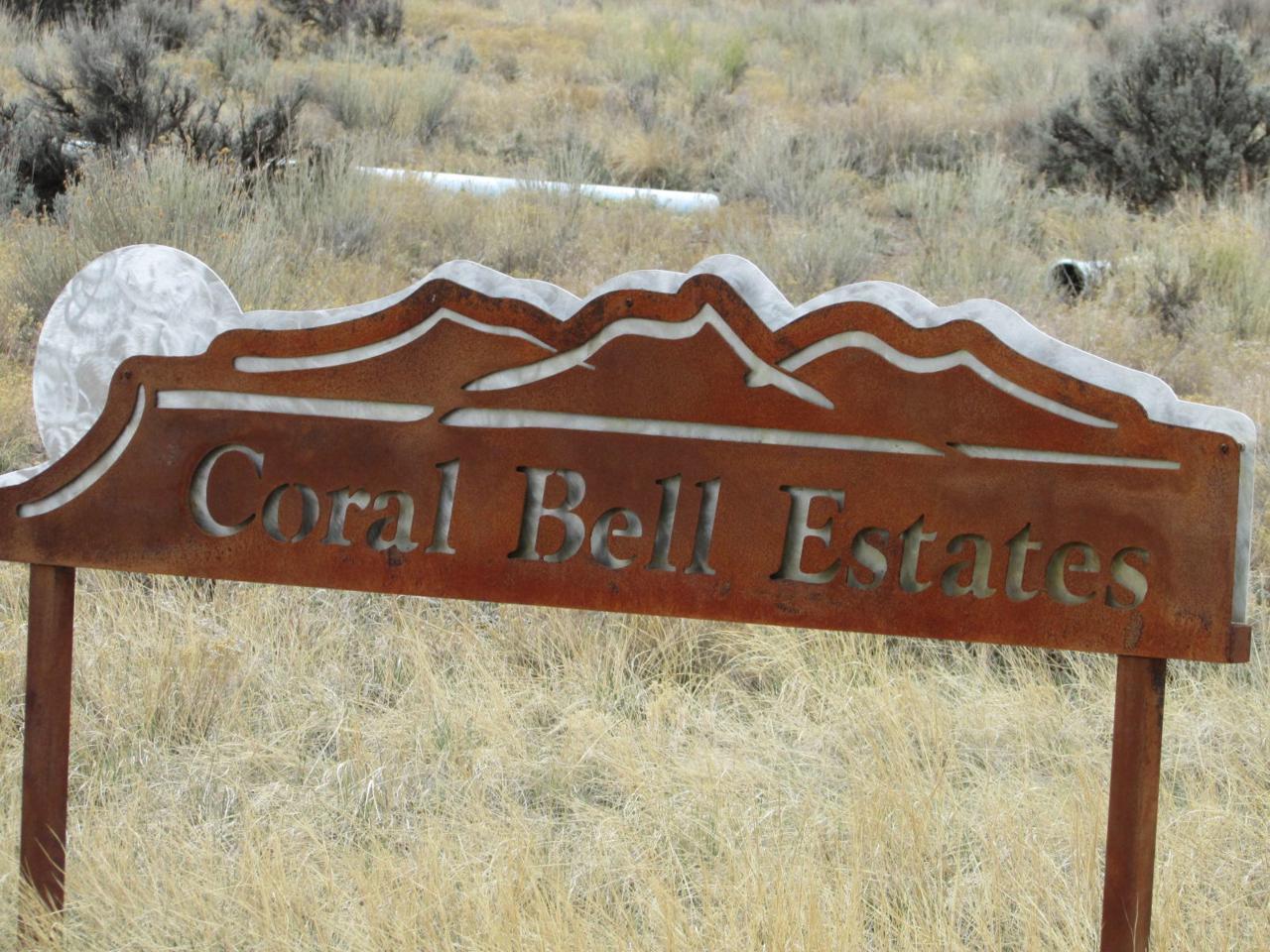Lot 1 Mountain Vista Court - Photo 1