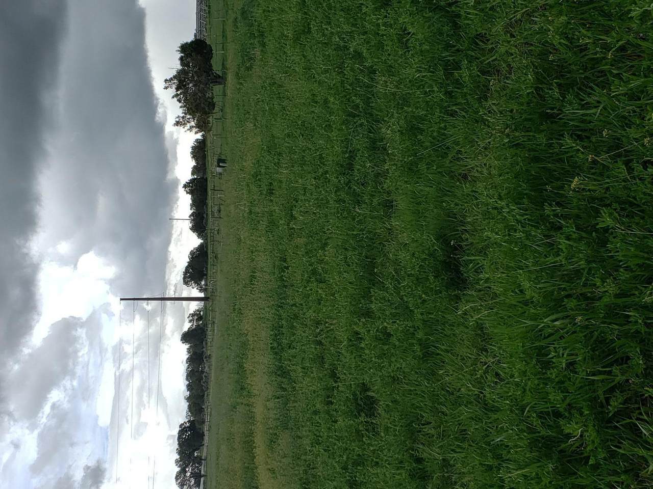 Lot 11 County Road W35 - Photo 1 Lot 11 County Road W35 - Photo 1